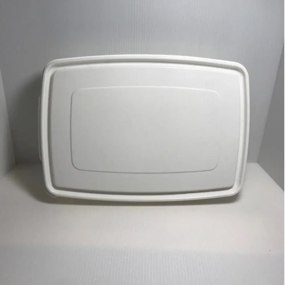 Rubbermaid Vintage Storage Container Holds 20 Eggs